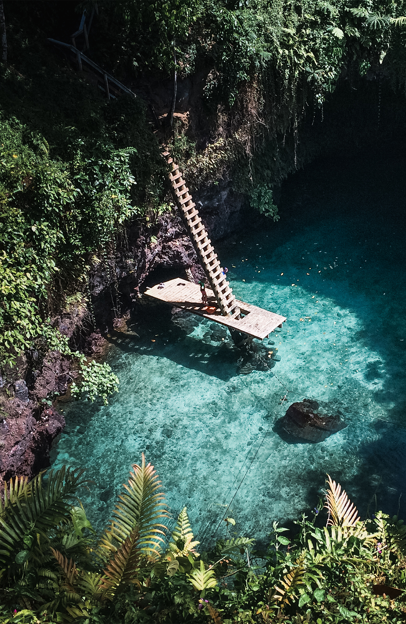 samoa kinderen online