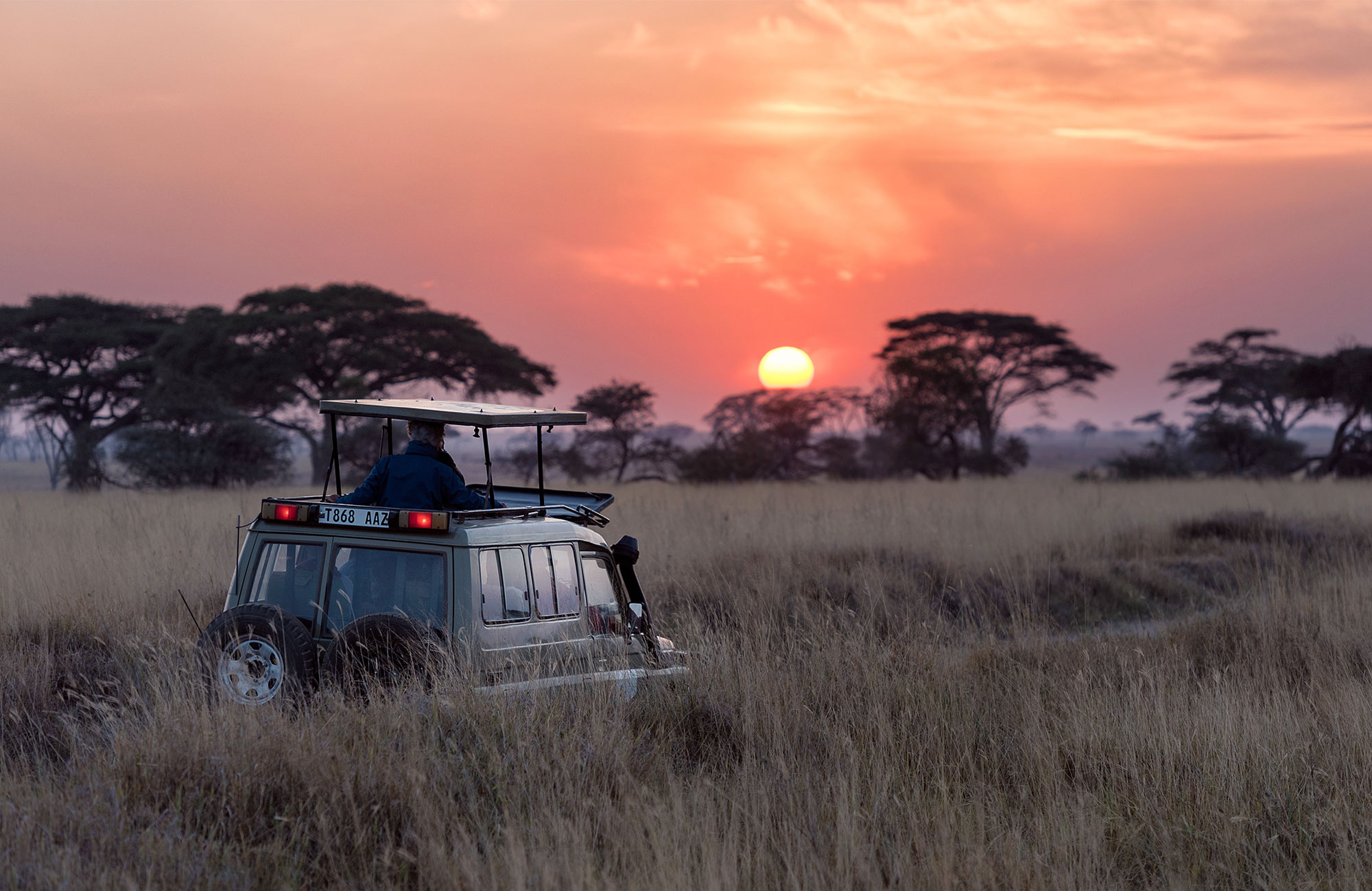 Op safari in een overland truck op de savanne in Serengeti, Tanzania